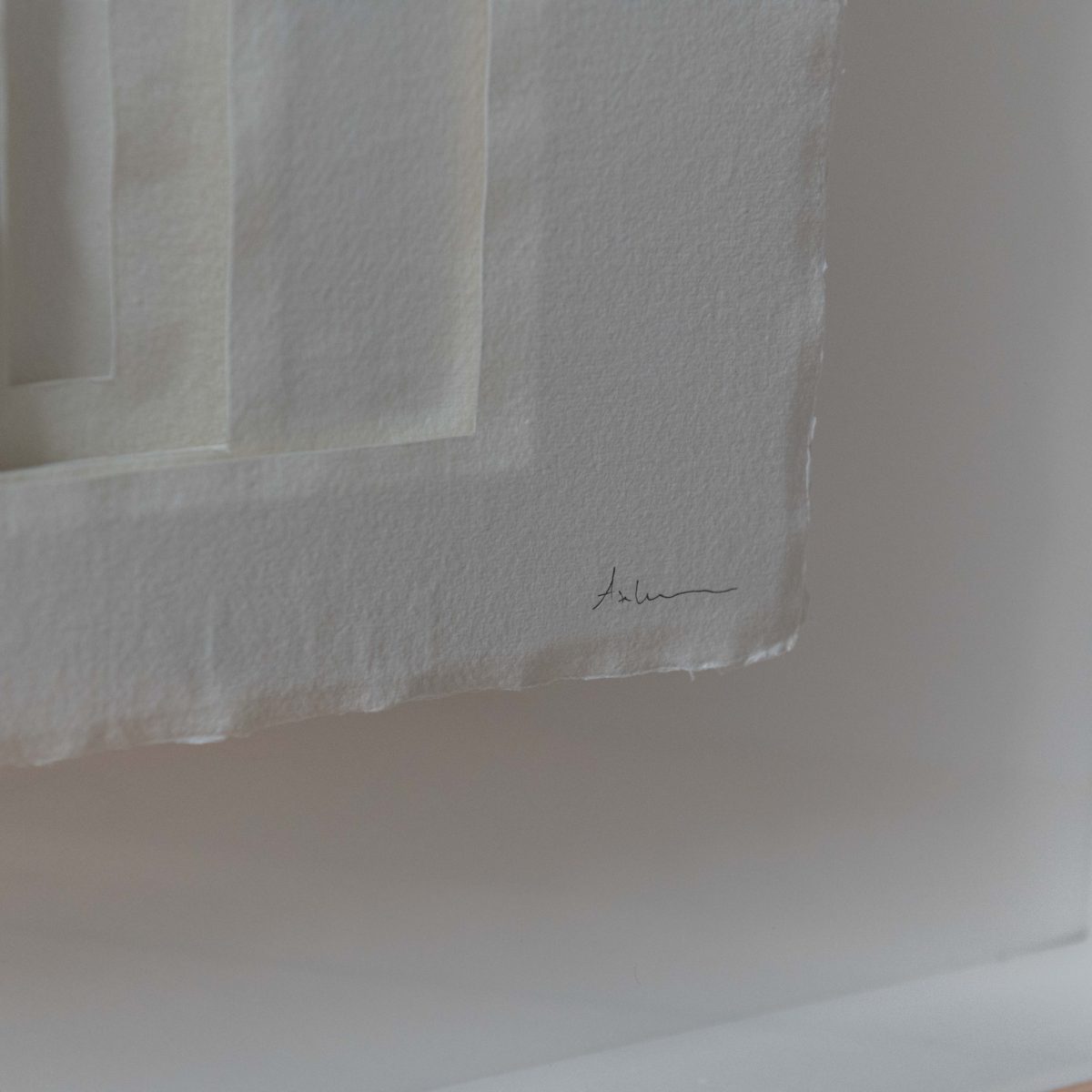 Espacios #16 de Asela Botella - Imagen 4